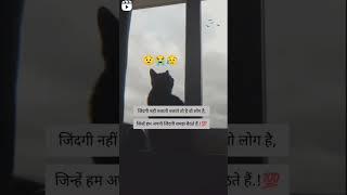 #hindi #status #video #subsribe #ytstudio #youtube #shorts