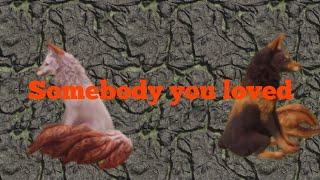 Someone you loved~ WC MV