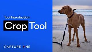 Capture One 21 Tool Introduction | Crop Cursor Tool