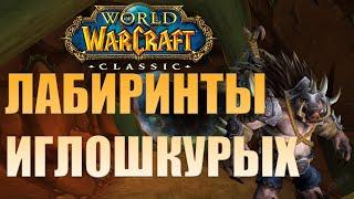 Лабиринты иглошкурых WOW Classic