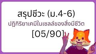 สรุปชีวะ ม.4-6 [5/90] - ปฎิกิริยาเคมีในเซลล์ของสิ่งมีชีวิต