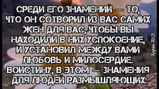 Предлагаю Тебе рецепт счастья от пророка Мухаммада (Да благословит его Аллах и приветствует) #Аллах