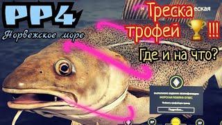 РР4. Норвежское море. Где и на что ловить ТРОФЕЙ Трески Атлантической!?