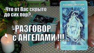 РАЗГОВОР С АНГЕЛАМИЧТО ОТ ВАС СКРЫТО ДО СИХ ПОР?️ Гадание Таро