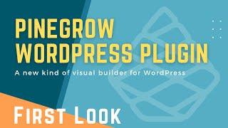 First Look: A new kind of visual builder plugin for WordPress - Pinegrow Custom Blocks and Themes