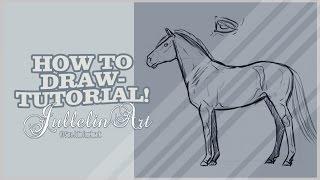 How to Draw Horse Anatomy - Tutorial!