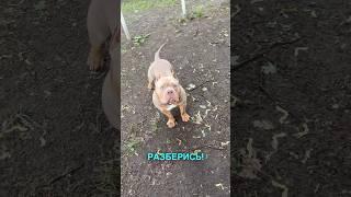 Охранные мероприятия