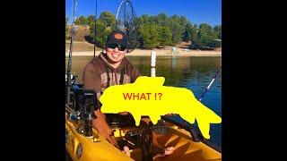Monster Carp Fishing ! Castaic lagoon fishing!