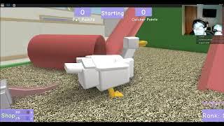 Brundonx Plays Roblox Clone me now and Pet Escape