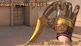 Fang "Aureate"+ Gloves "Steam Rider"  Standoff2