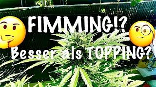 Was ist FIMMING?{Cannabis Anbau Deitschland)