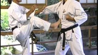 Uechi-ryu combat strategy