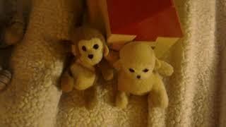 Oscar Barnett's Toys Family: Toffee and Tiny's House (7/11/2021)