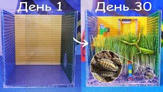 Создали Кусочек Дикой Природы, В Террариуме Из Lego