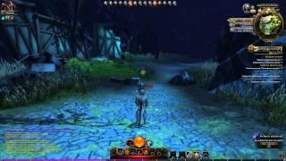 Neverwinter Online, Чернокнижник-мучитель, №23