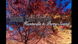 Tesla Fall Drive Huntsville Parry Sound