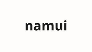 How to pronounce namui | 남의 (South in Korean)