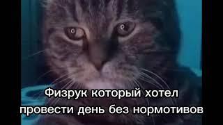 Грустный кот