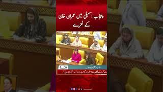Imran Khan's Slogans in the Punjab Assembly | Hum News #imrankhan #imrankhanpti #ptiofficial