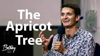 More Than A Building: The Apricot Tree // Serge Vorobets - Bethany Youth
