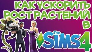 Как Быстро Вырастить Растение Sims 4 | Sims 4 Чит на Рост Растений