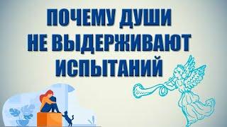 ПОЧЕМУ ДУШИ НЕ ВЫДЕРЖИВАЮТ ИСПЫТАНИЙ? СЕКЛИТОВА Л.А. СТРЕЛЬНИКОВА Л.Л. КНИГА "ОТКРОВЕНИЯ КОСМОСА"