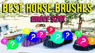 The Best of the Best Horse Brushes for Less Than $20.00