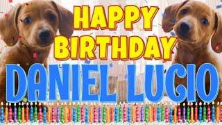 Happy Birthday Daniel Lucio! ( Funny Talking Dogs ) What Is Free On My Birthday