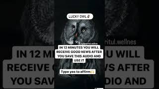 lucky owl in 12 min you will receive good news after you save this audio and use it type yes to 