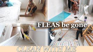 HOW TO GET RID OF FLEAS FAST | FULL HOUSE CLEAN WITH ME | ALINA GHOST