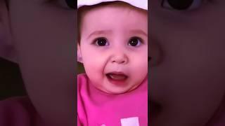 PAPA #funny #remix #viral #trending #shortsfeed #cats #catvideos #catlover #cat #cute #ytshorts