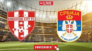 Kingston City vs FC Melbourne Srbija live National Premier Leagues Victoria