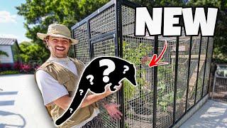 We Bought a EXOTIC ANIMAL for NEW Enclosure!!