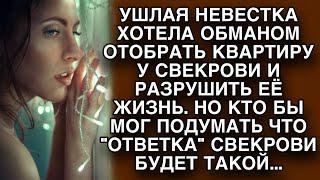 Невестка хотела отобрать квартиру и деньги свекрови, но не знала как она её красиво проучит...