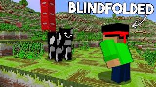 I Remade Every Texture In Minecraft BLINDFOLDED...