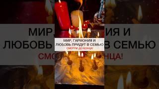 ГАРМОНИЯ И ЛЮБОВЬ ПРИДУТ В СЕМЬЮ! #shots #магия #ритуалы #любовь #ритуал #советы #семья #гармония