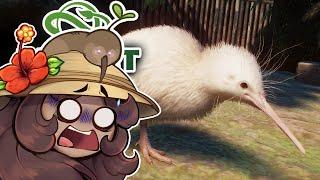 Hatching an ALBINO Kiwi Chick Amid Quokka Chase Chaos?!  Planet Zoo: Oceania Adventures • #7