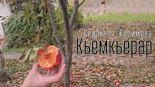 Кьемкьерар. Седакъет Керимова