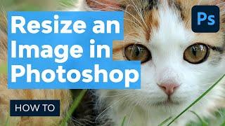 How to Resize an Image in Photoshop