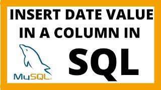 Insert DATE data type in SQL | Mysql tutorial