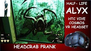 Half-Life: Alyx - Headcrab scared Alyx Vance (Laughing animation) Funny Moments