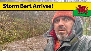 157. Storm Bert hits the Homestead - Living Alone in Wales (November 2024)