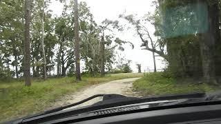 A RIDE INTO THE ACE BASIN AT COMBAHEE