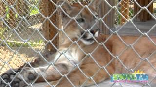 Kowiachobee Animal Preserve | Naples, Florida