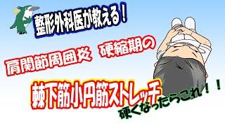 【整形外科医が教える！】四十肩・五十肩　肩の痛みが治まったときの運動　硬くなってしまった人に！②