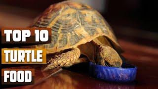 Best Turtle Food In 2024 - Top 10 Turtle Foods Review