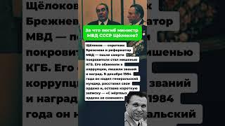 ДРУГ БРЕЖНЕВА, ВРАГ АНДРОПОВА: ЗА ЧТО ПОГИБ МИНИСТР МВД СССР ЩЁЛОКОВ? #ссср #интересныефакты #вов