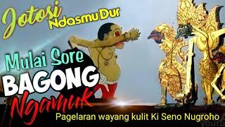 METU SORE..!! ️ BAGONG NGAMUK LUCU TENAN KI.SENO NUGROHO