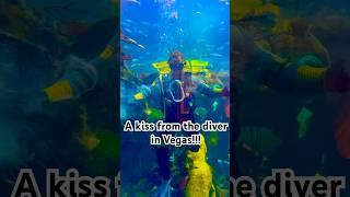 Scuba diver blew us a bubble kiss at Silverton in Vegas! 🫧 #lasvegas #scubadiving #aquarium #fun