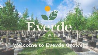 The Everde Growers Mission